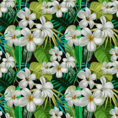 Flora & Fauna
