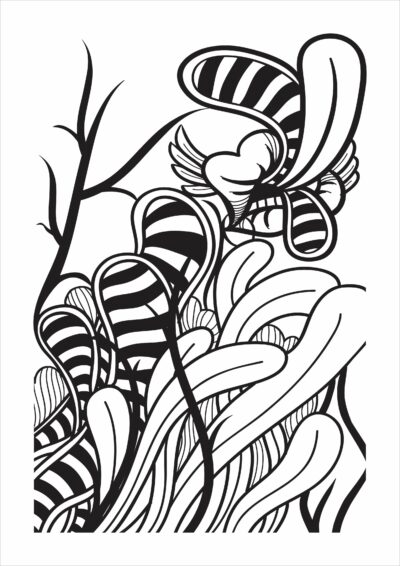 saracosa-line-art-1