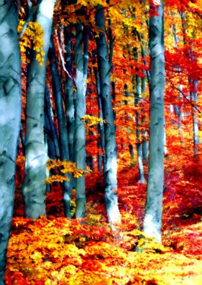 1-indica-autumn-nature-artscape