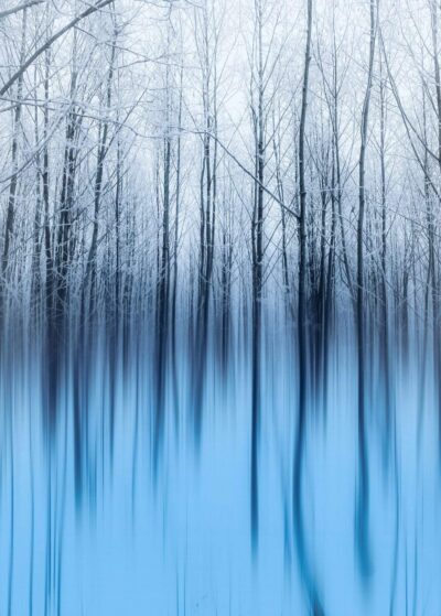 11-blue-aspens-photography