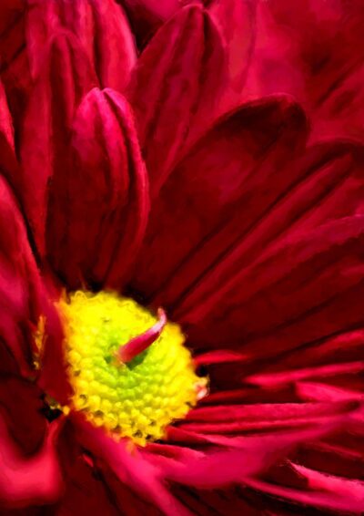 2-dadlia-revelation-nature