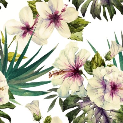 hibiscus-beauty-wallpaper-pattern-flora-fauna