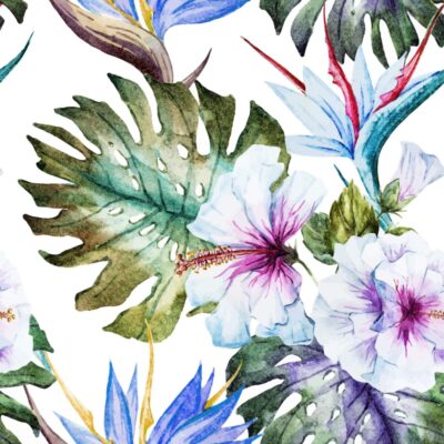 hibiscus-spring-wallpaper-pattern-flora-fauna